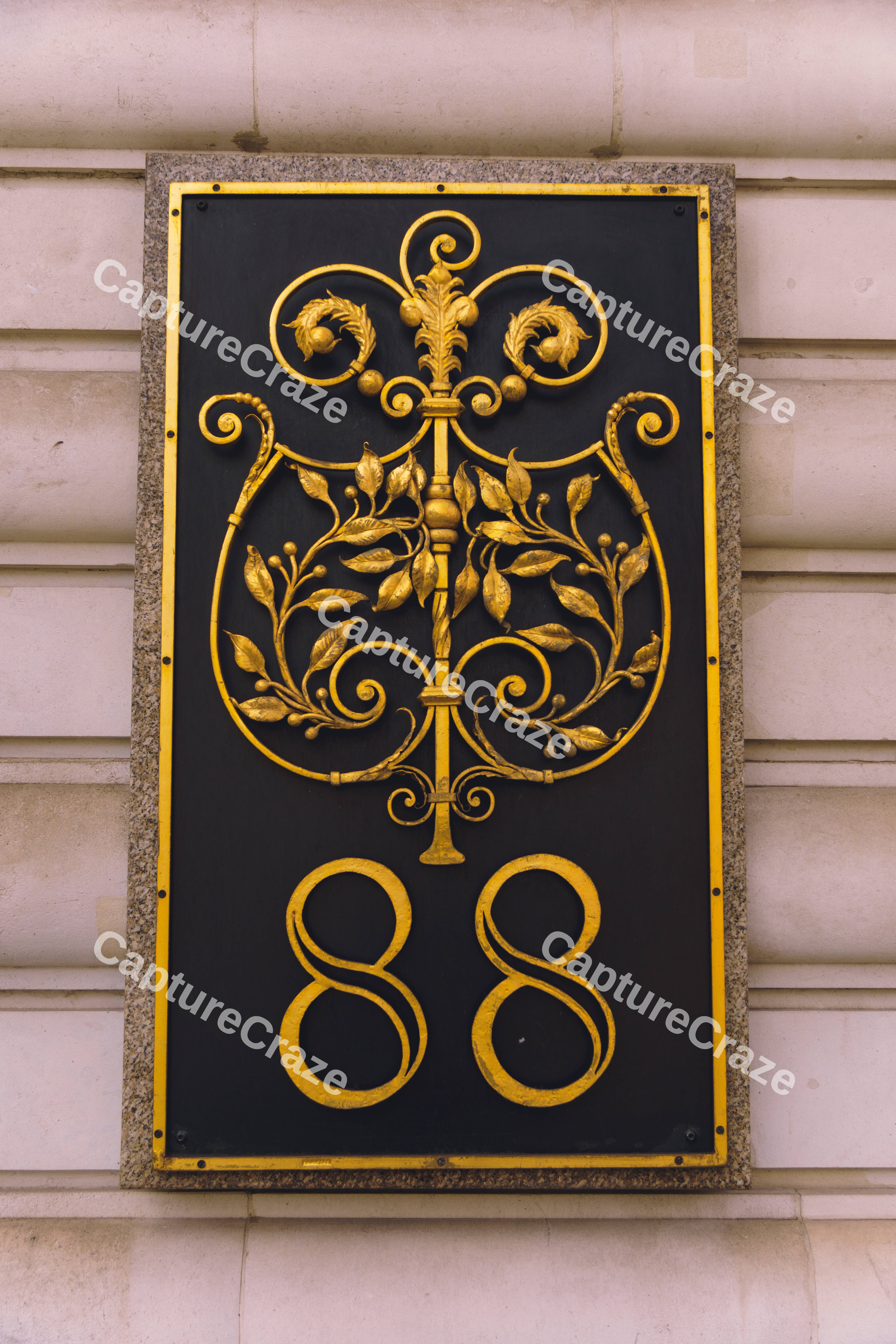 Number 88 Black & Gold Detail